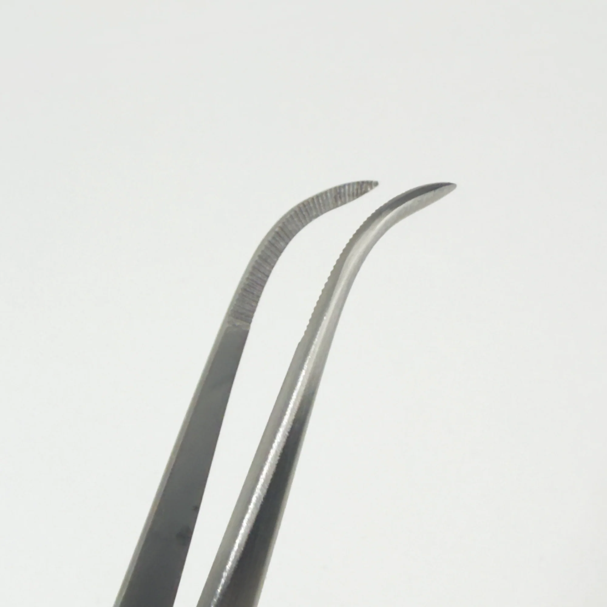 Angled Forceps - Image 3