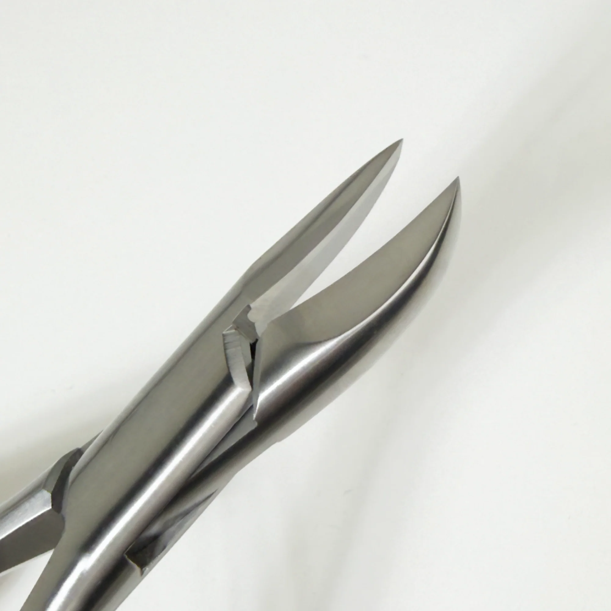 Diabetic General Purpose Concave Nipper - Image 4