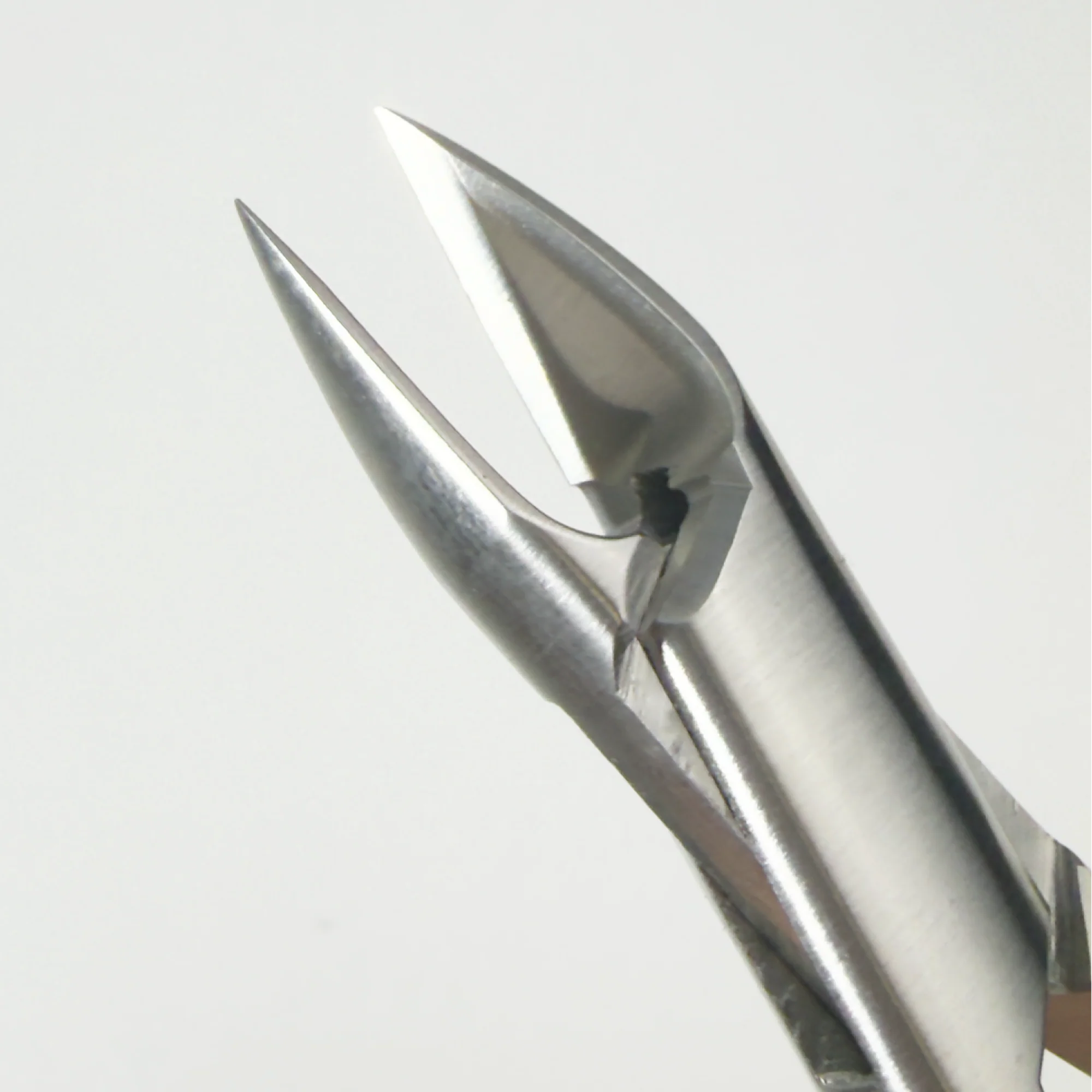 Diabetic Ingrowing Nail Cutter - Image 2