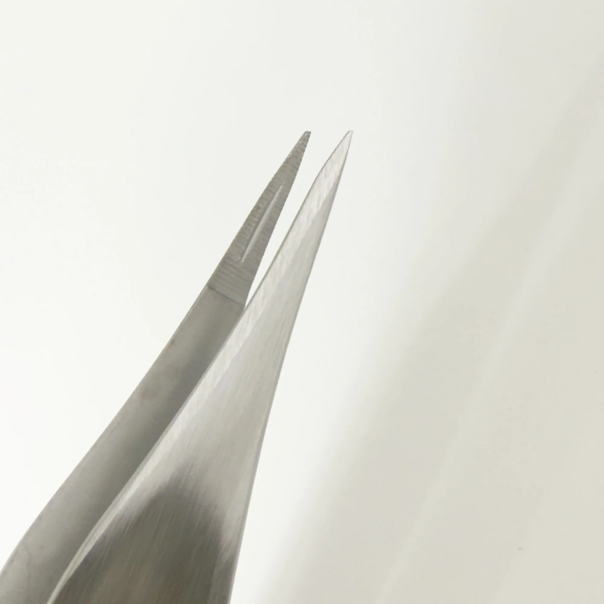 Dissecting Forceps Fine - Image 3