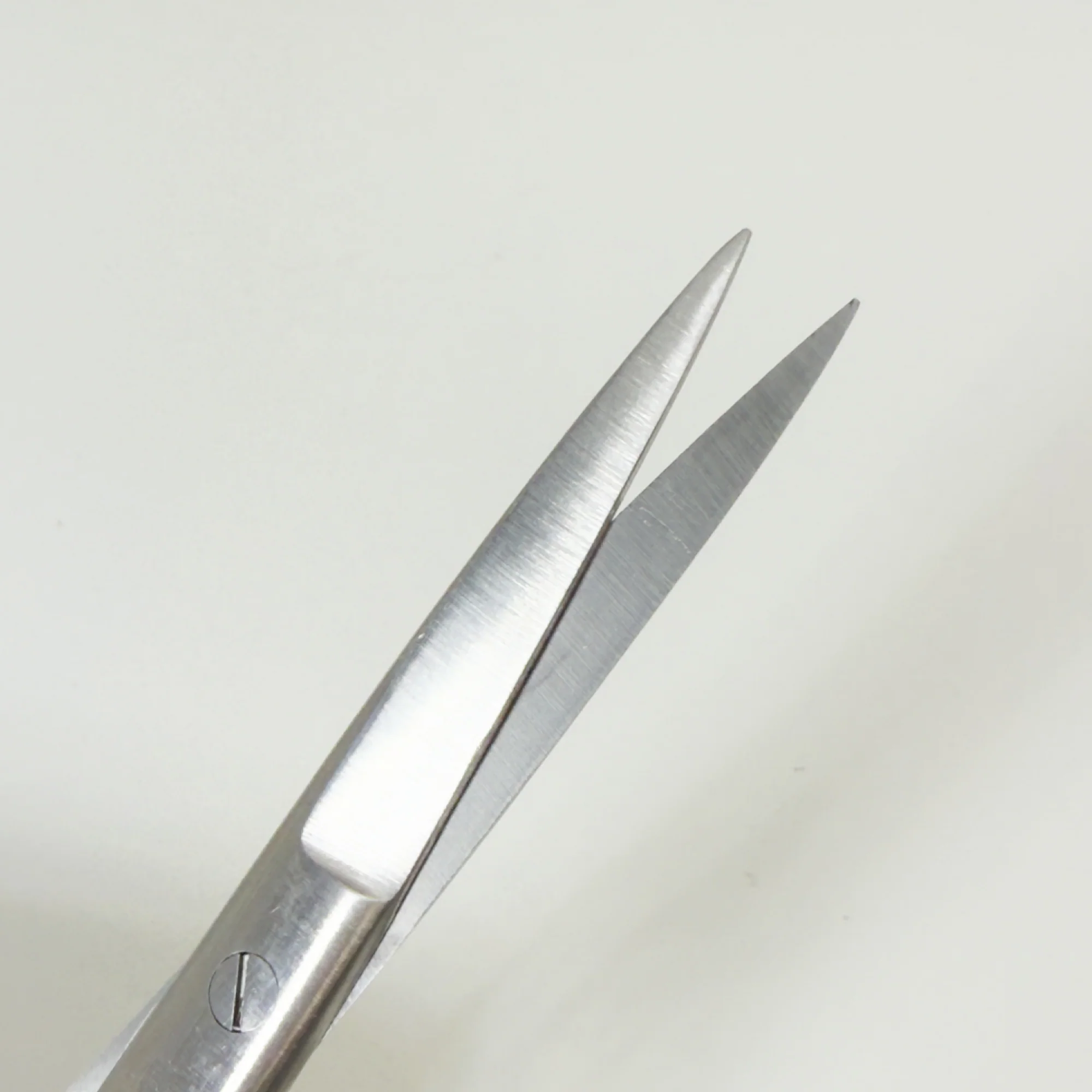 Premium Dressing Scissors 15cm - Image 2