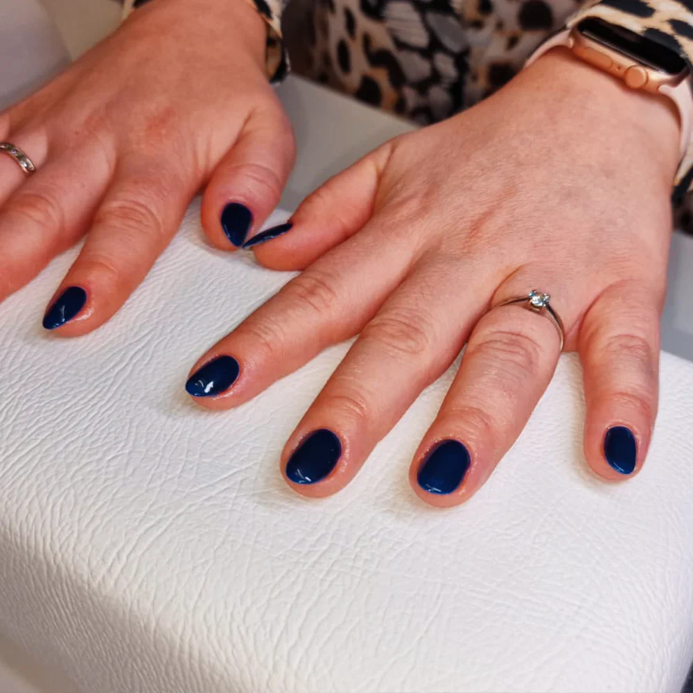Kokoist Colour Gel - Eggplant Navy E-130 - Image 2